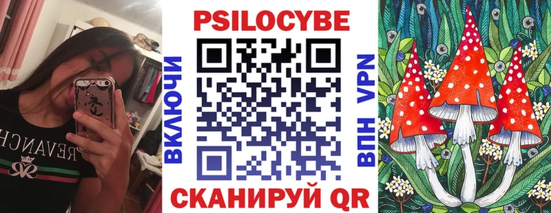 OMG ТОР  Подольск  Галлюциногенные грибы Cubensis 
