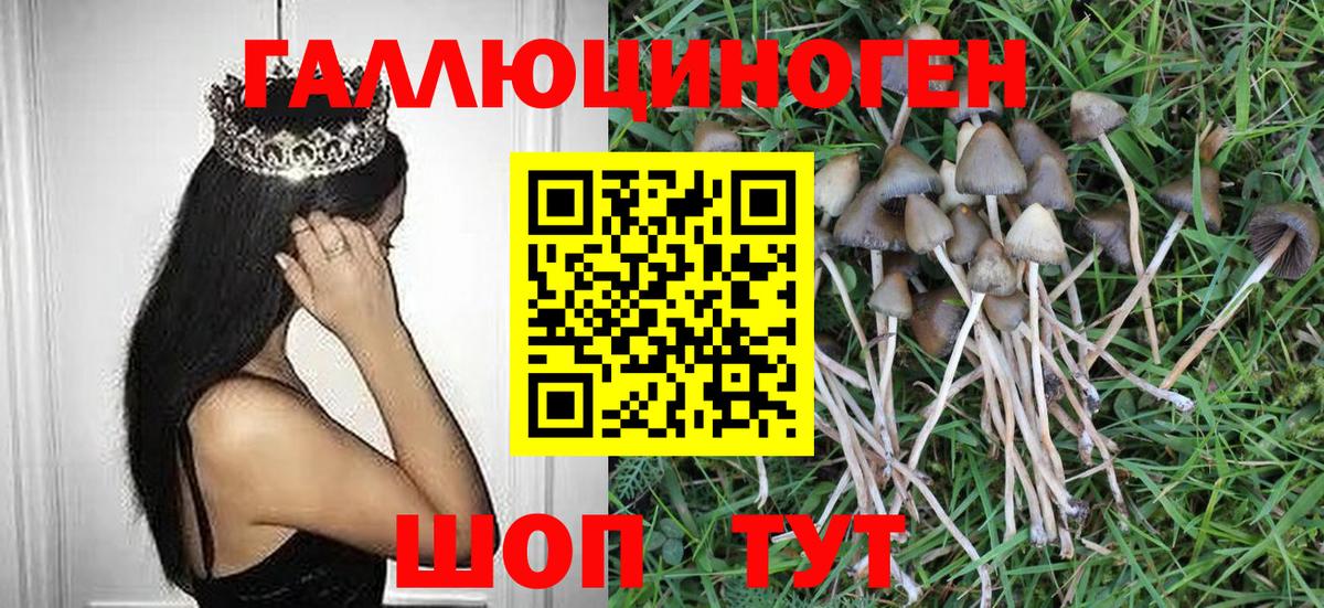 Подольск  Псилоцибиновые грибы Magic Shrooms  Вход с VPN 